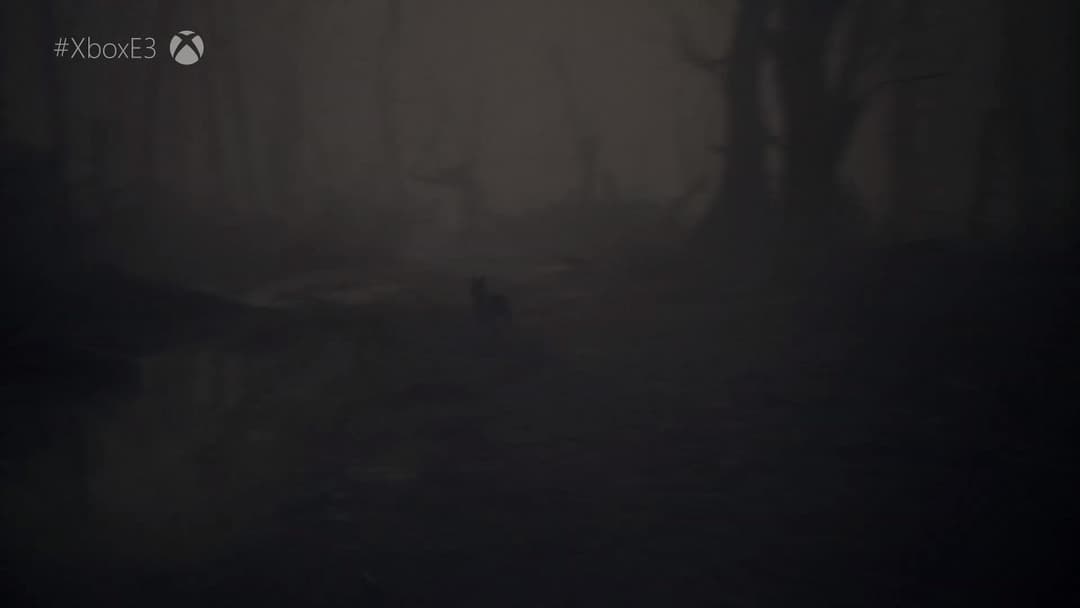 Blair Witch