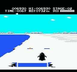 Antarctic Adventure