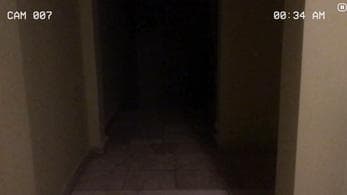 Paranormal Inc.