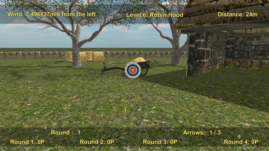 Precision Archery: Competitive