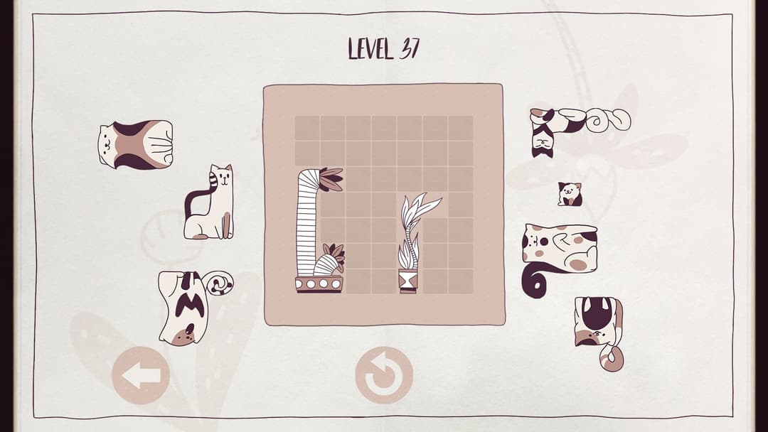 Cats Organized Neatly