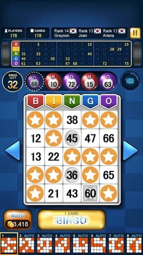 Bingo Master King