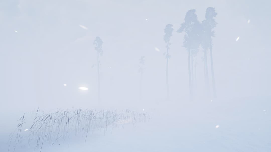 Storm VR