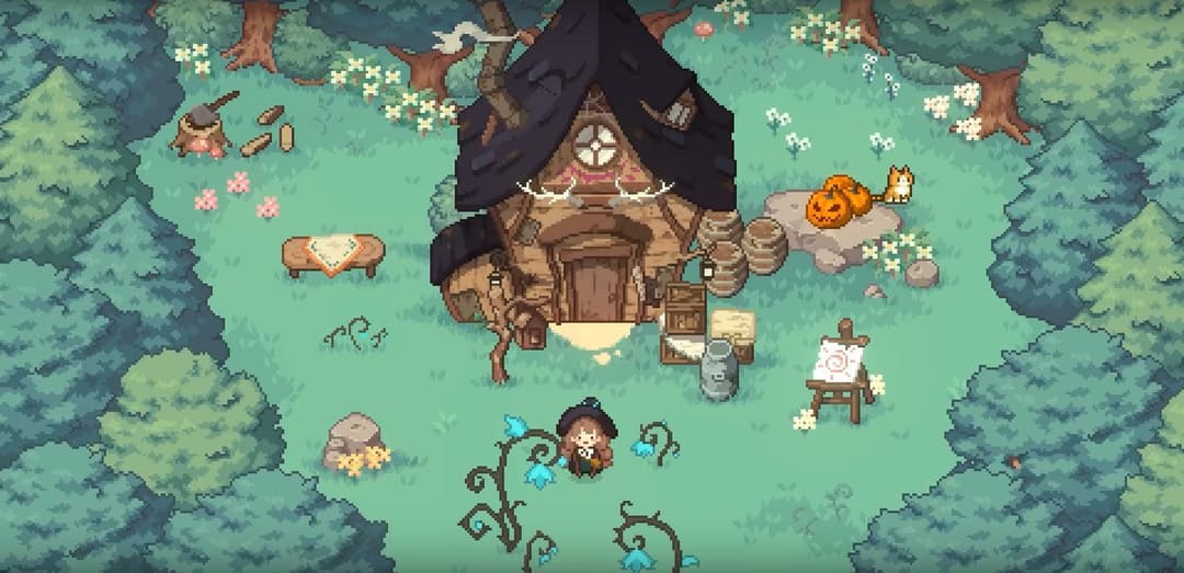 Little Witch in the Woods