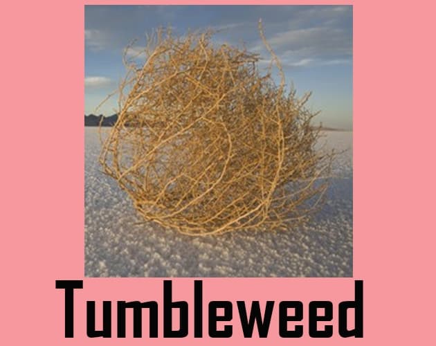 Tumbleweed