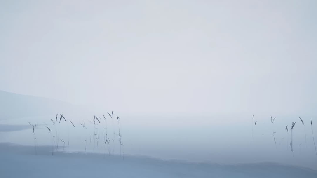 Storm VR
