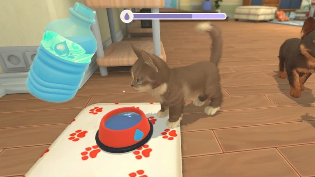 My Universe - Puppies & Kittens