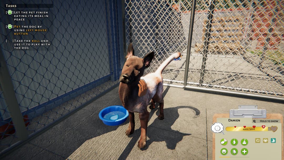 Animal Shelter: Prologue