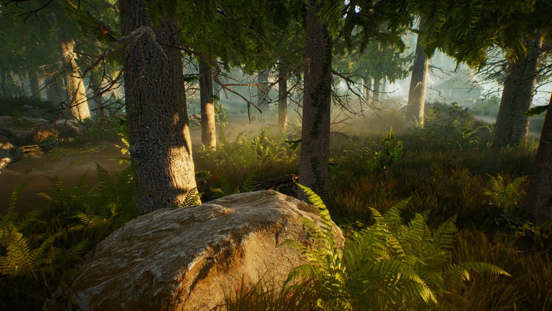 Treasure Hunter